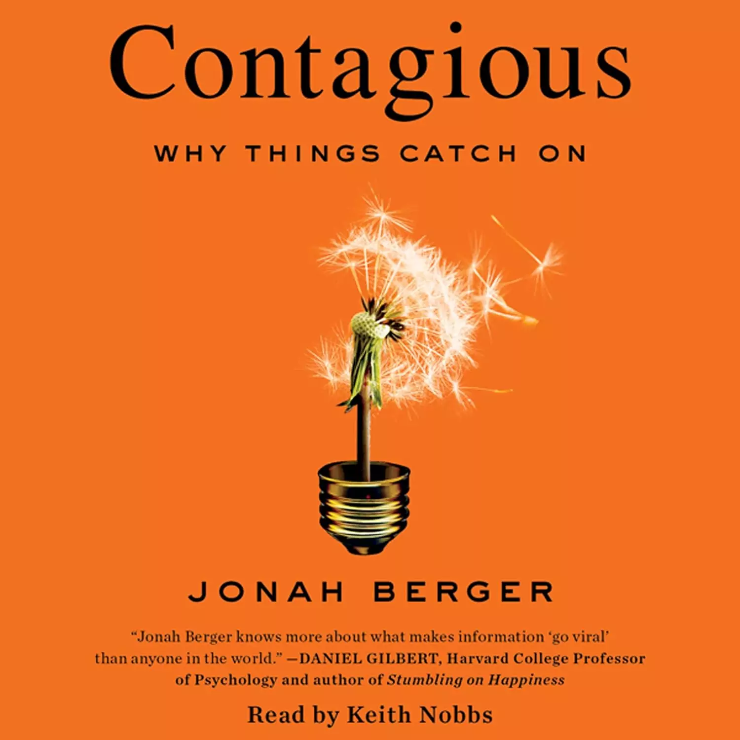 Why Things Catch On