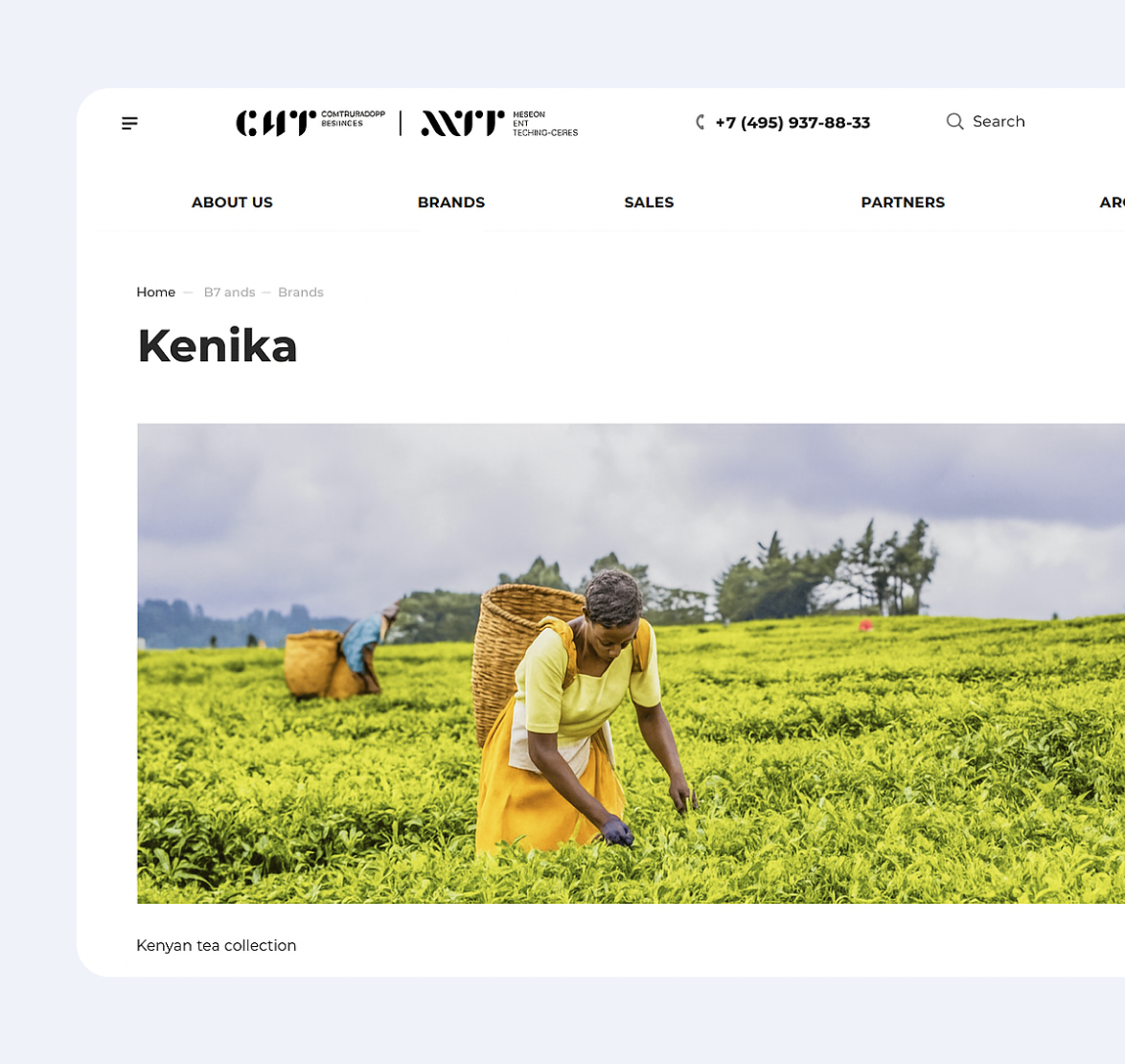 A catalog website for a multibrand producer