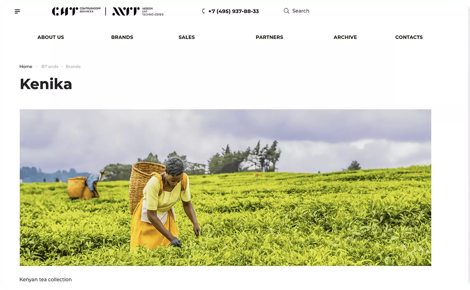 Kenika project case study screenshot in English